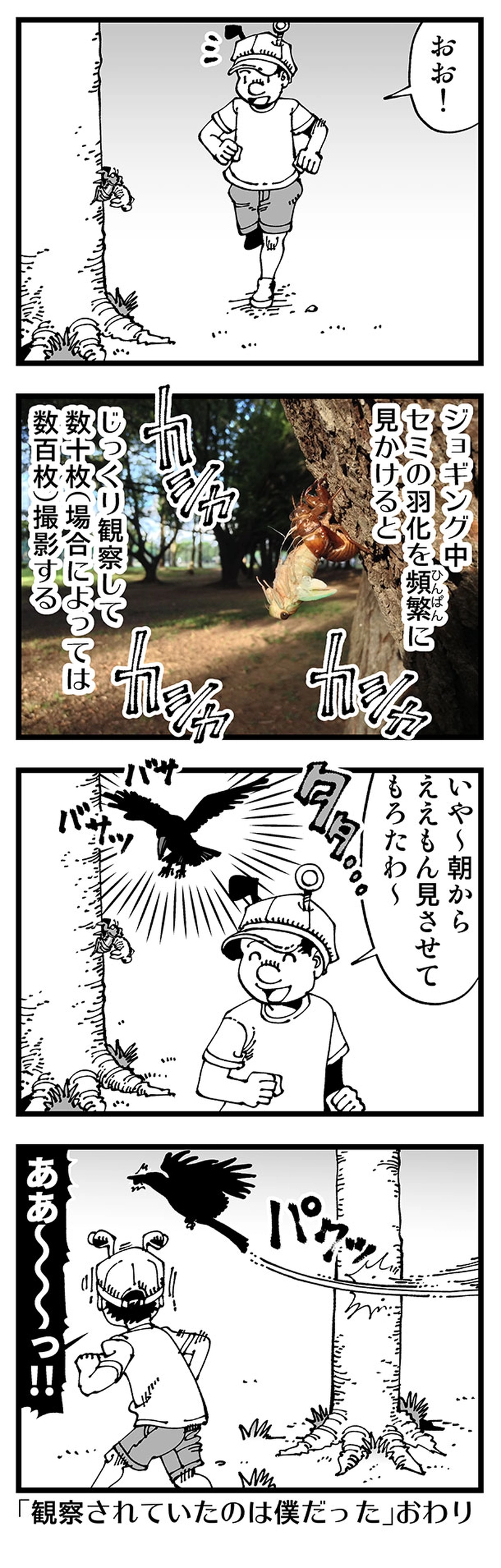 【普通】観察される者のマトリョーシカ