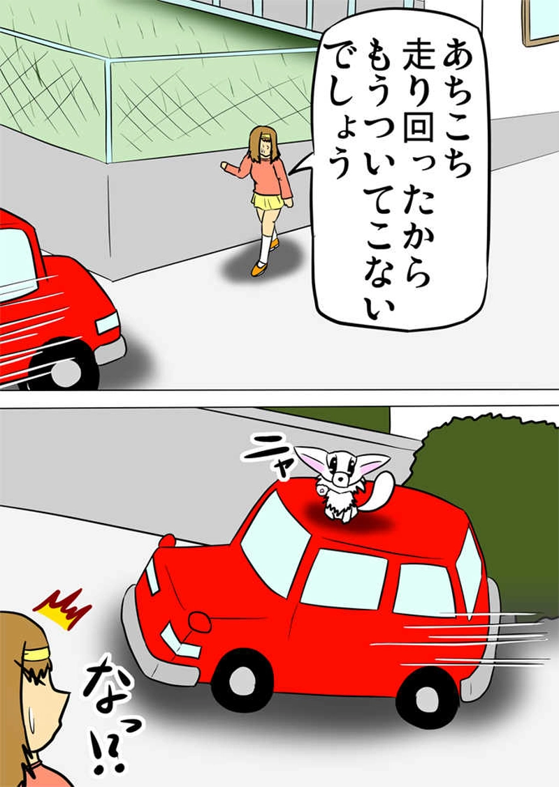 ミーのおもちゃ箱566話～第571話