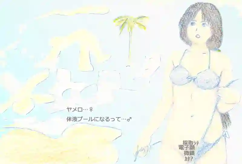 LAP.393 休憩