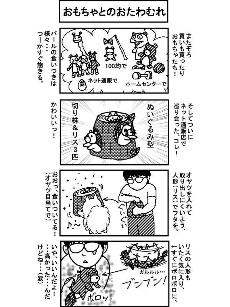 ボクとポメのドタバタ生活、一年間　その10（41～44話）