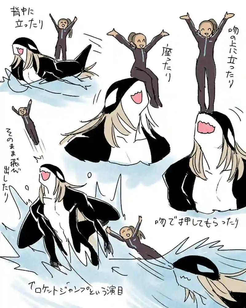 モルトバール１０