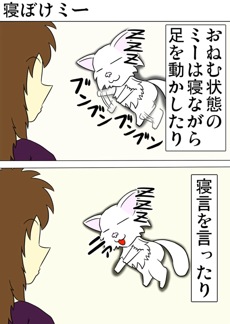 ミーのおもちゃ箱 第1312話～第1317話