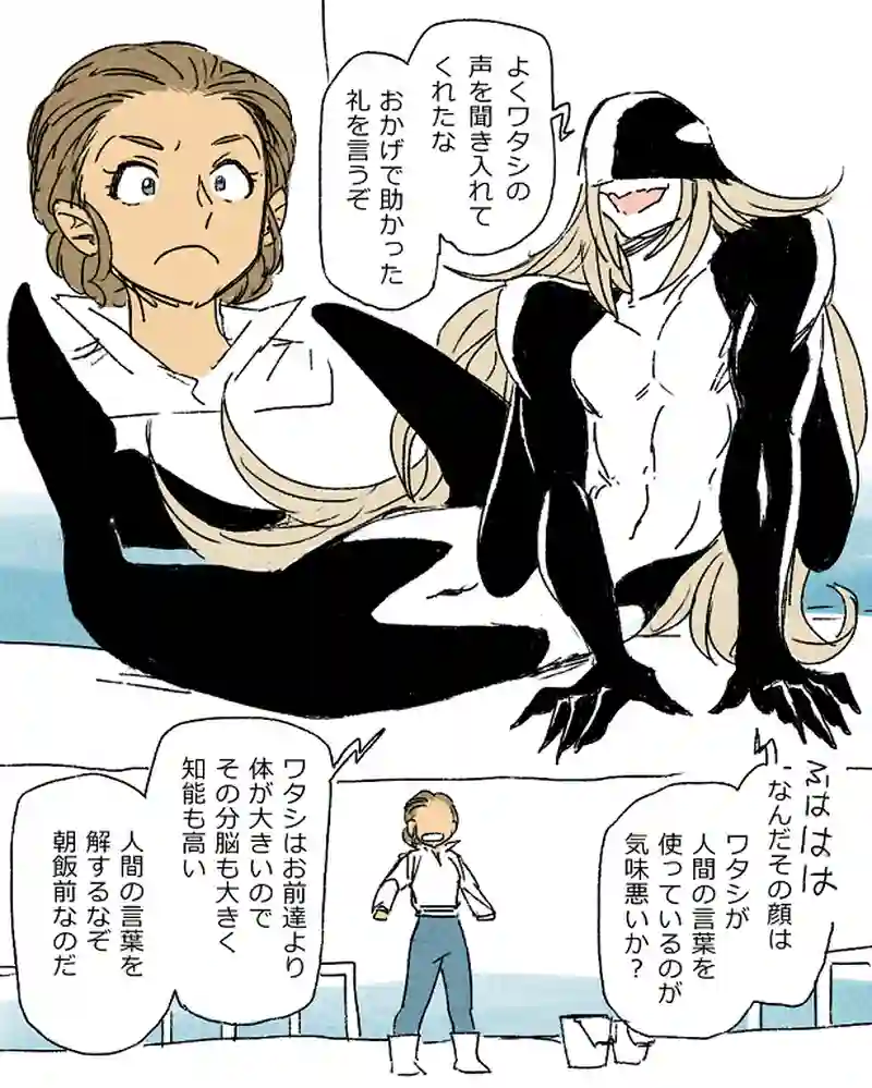 モルトバール１