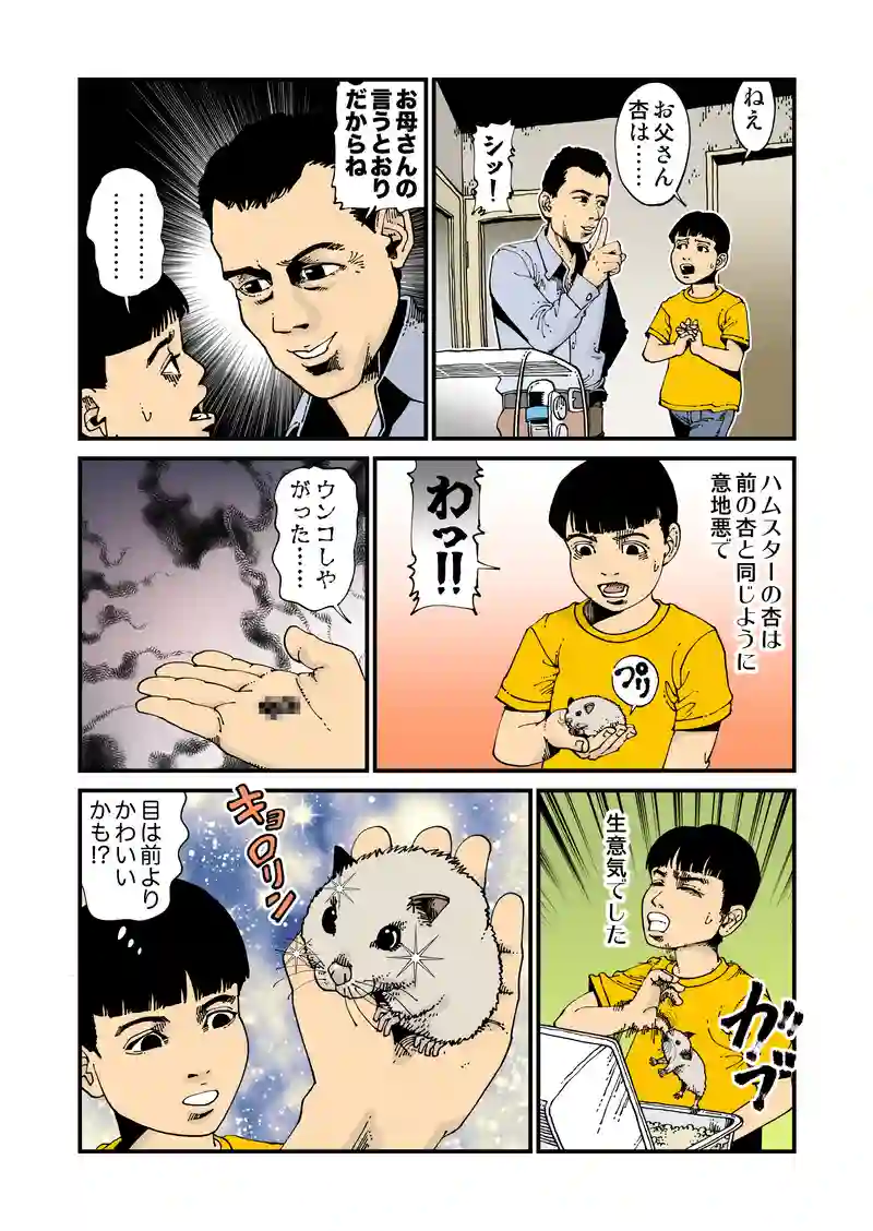 【StoF】俺の妹がこんなに可愛いわけが