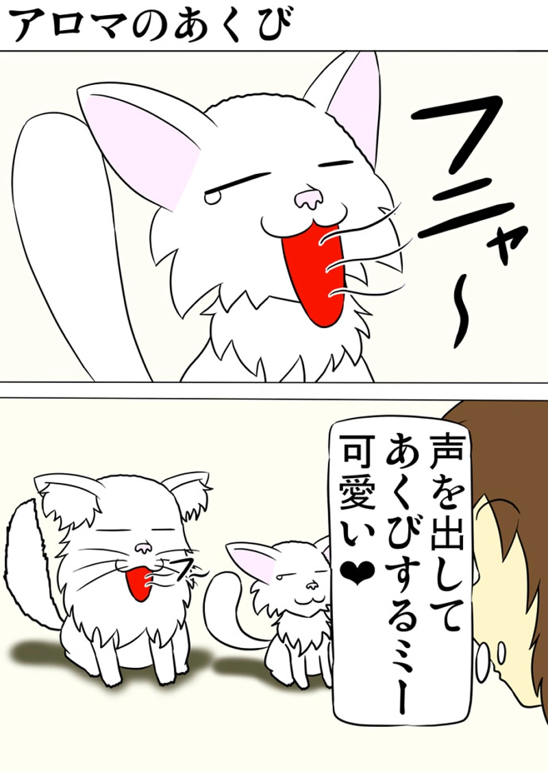 ミーのおもちゃ箱 第1294話～第1299話