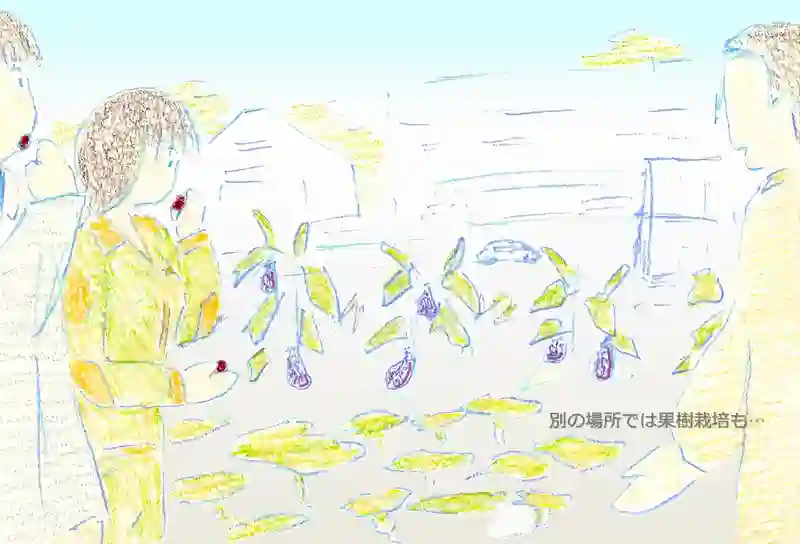 LAP.396 就職活動2