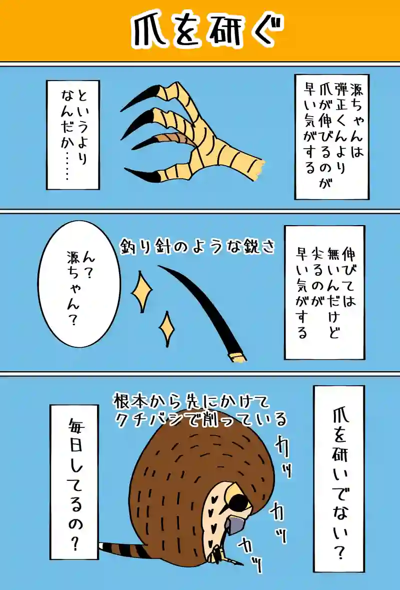 謎の音