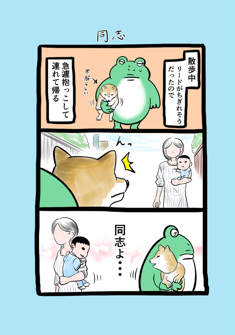 急に来てすぐカエル(295)