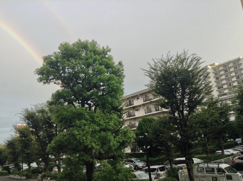 【普通】虹の彼方に