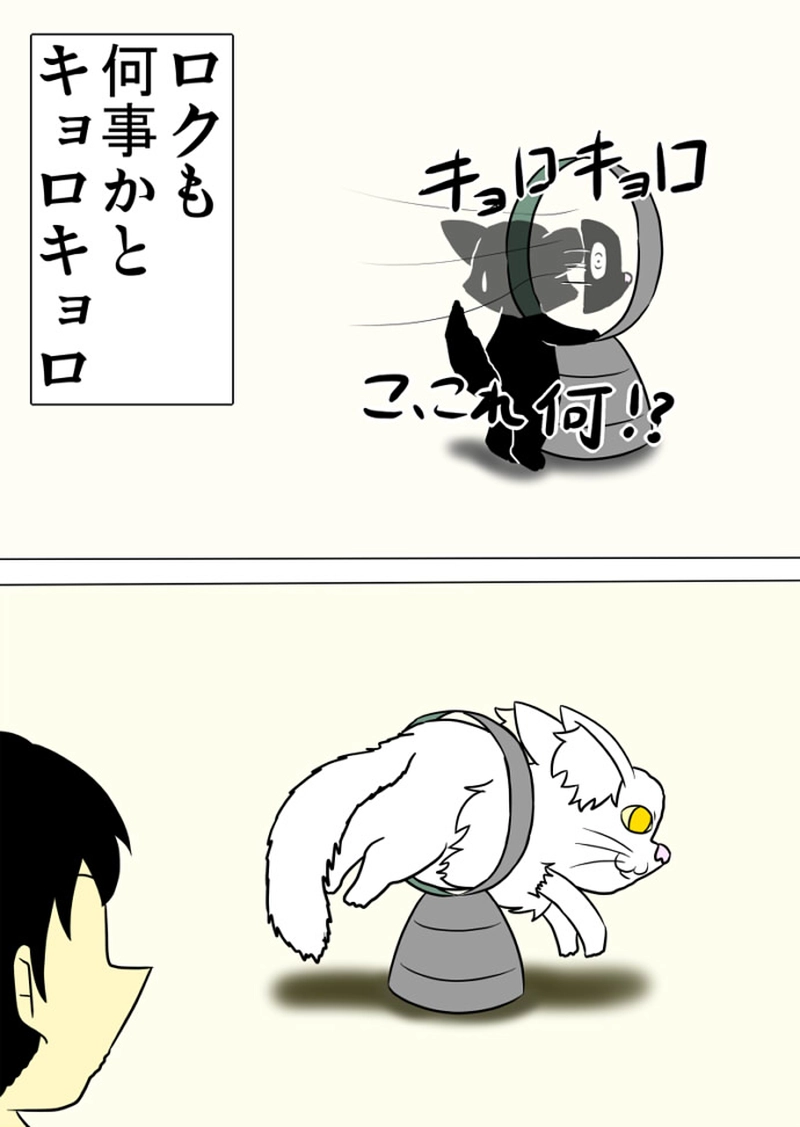 ミーのおもちゃ箱 第1312話～第1317話