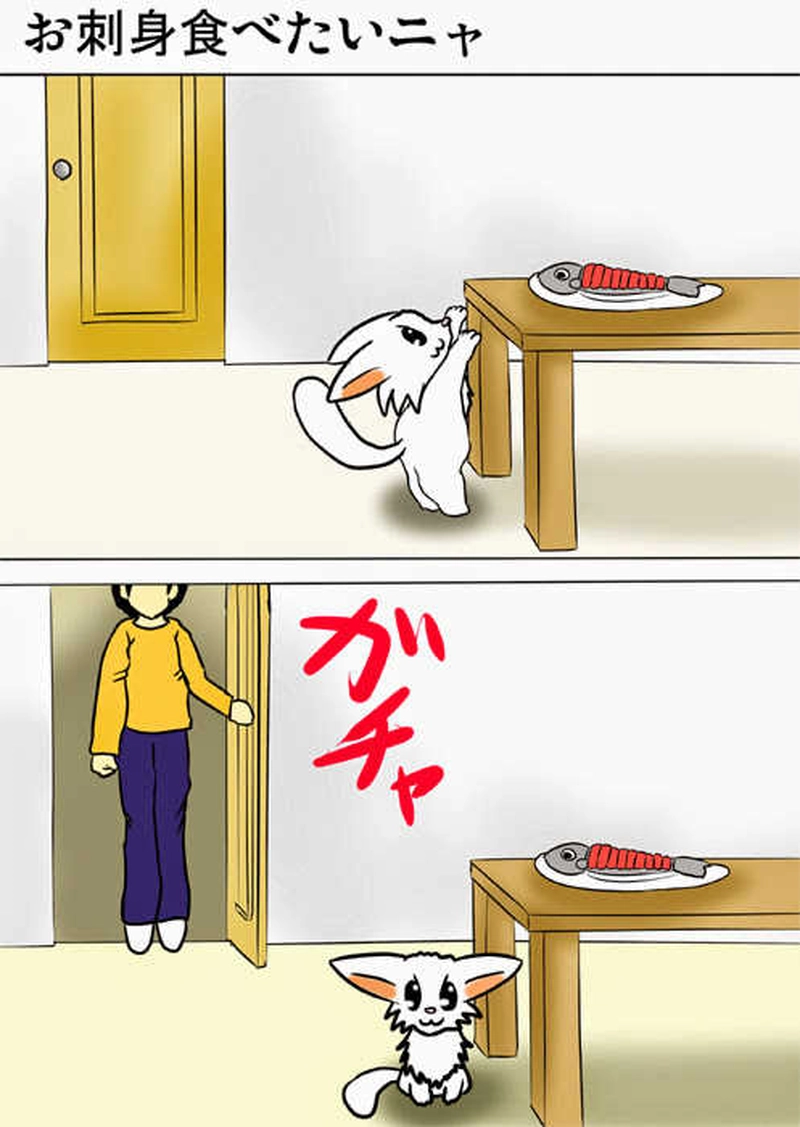 ミーのおもちゃ箱１６０話