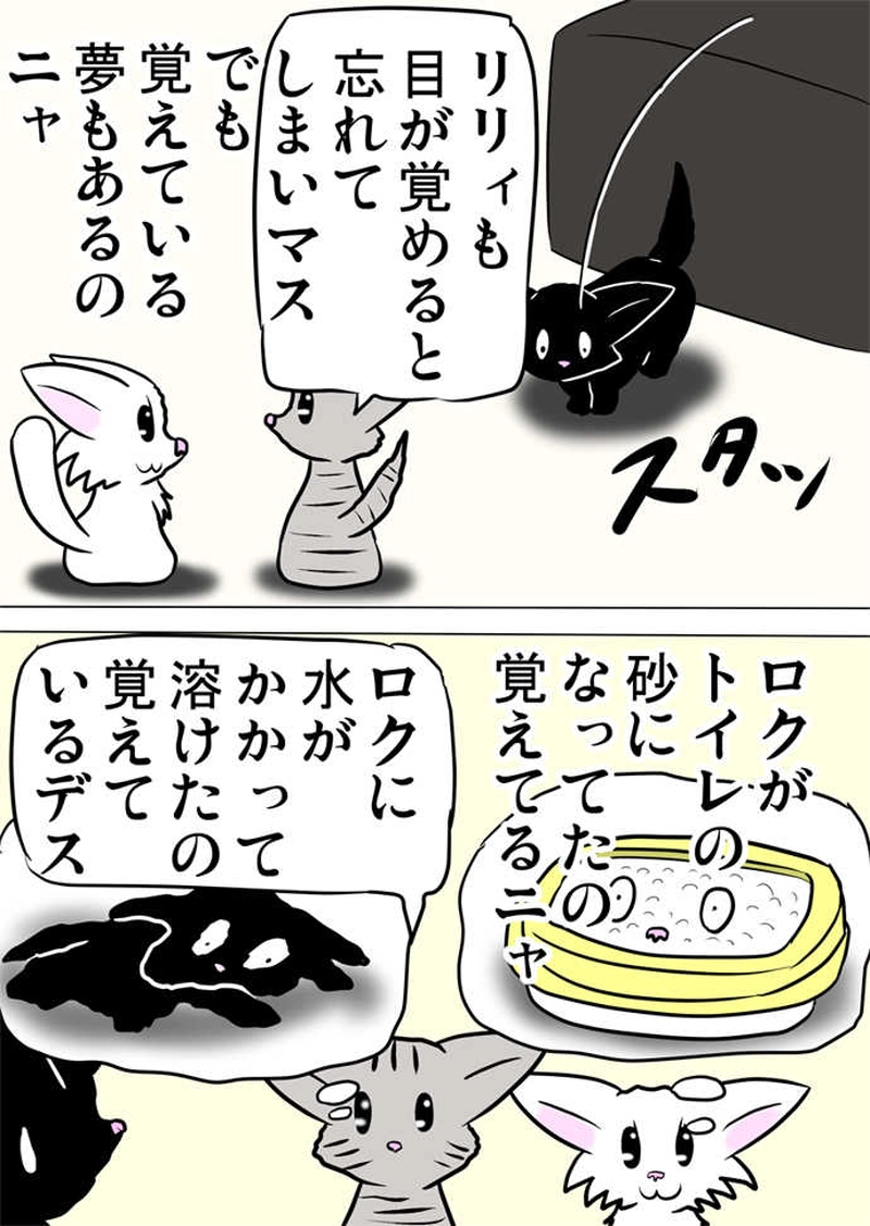 ミーのおもちゃ箱４５１話