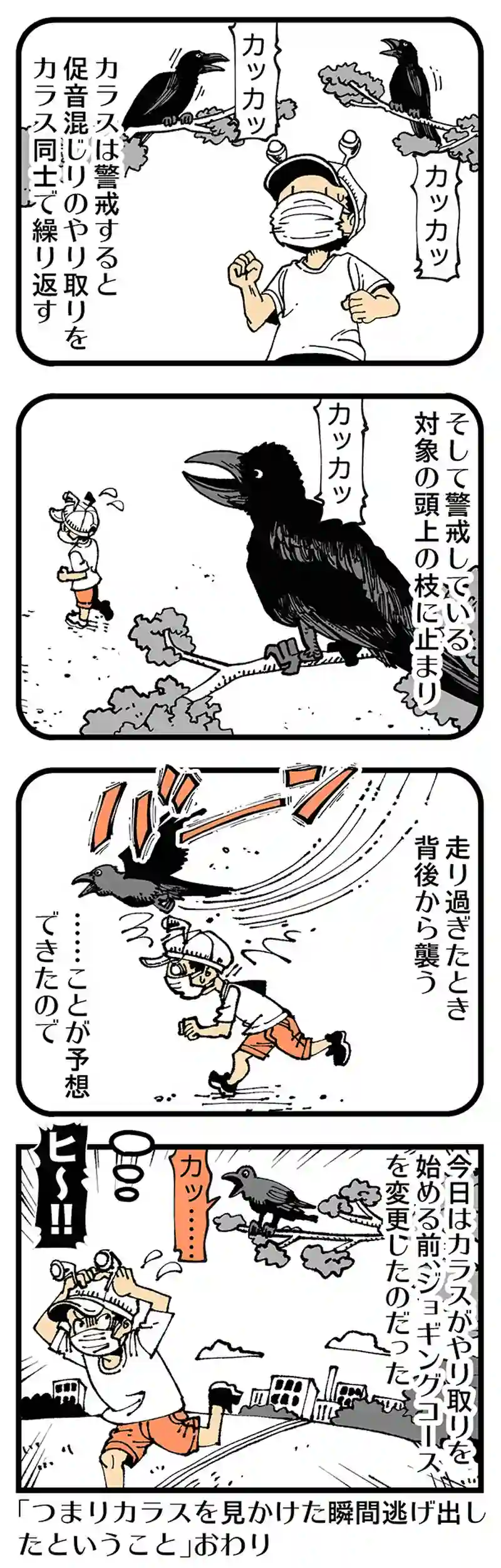 【普通】カラスセンサー発動！