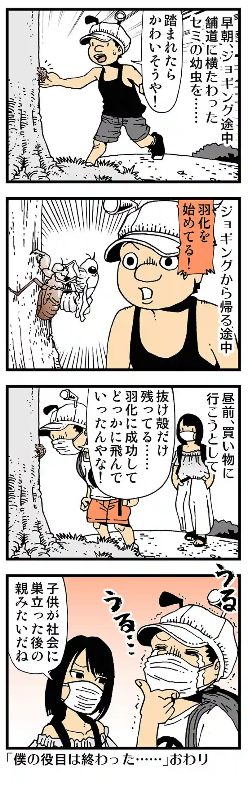 【普通】セミの抜け殻から生まれたセミ抜け殻太郎は