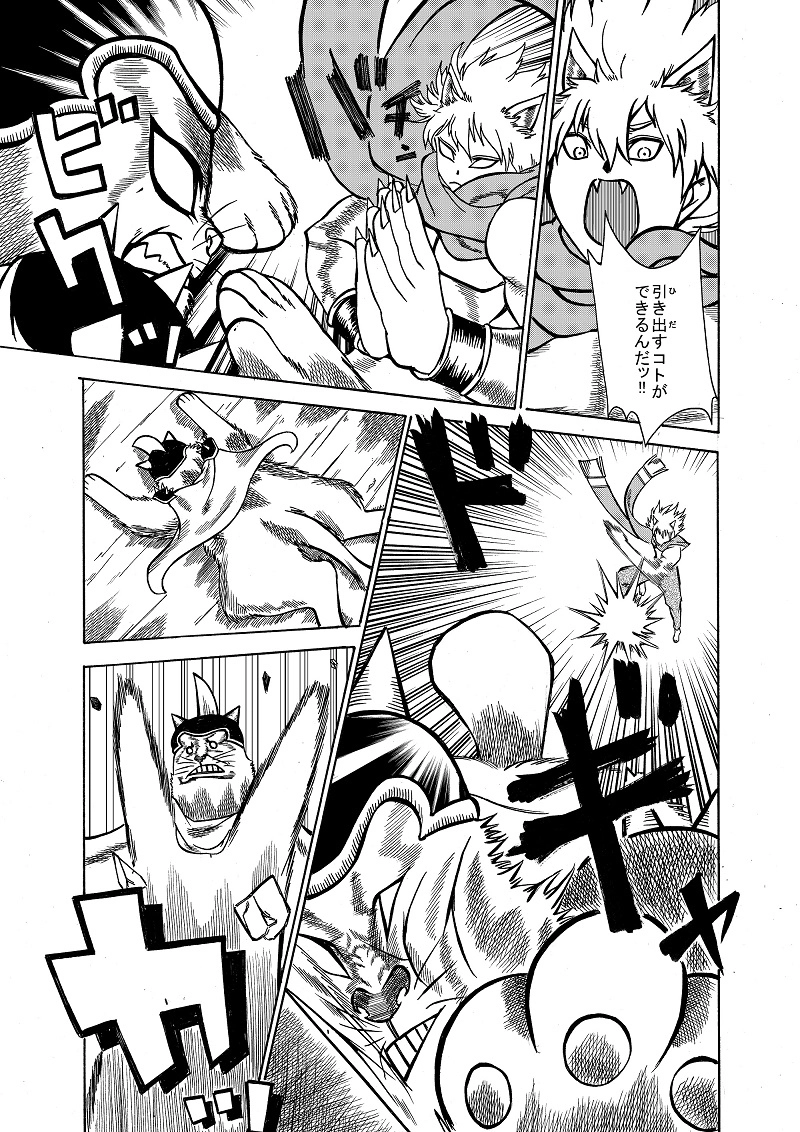 シュレディンガーの猫