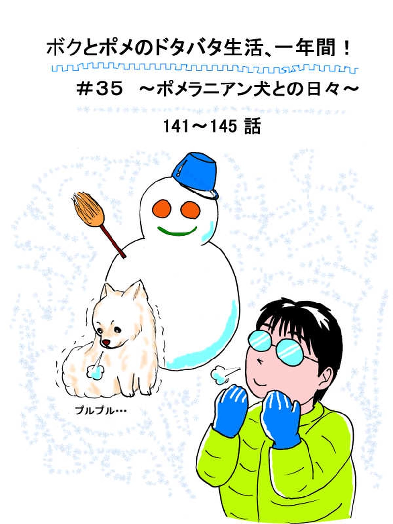 ボクとポメのドタバタ生活、一年間　その35（141～145話）