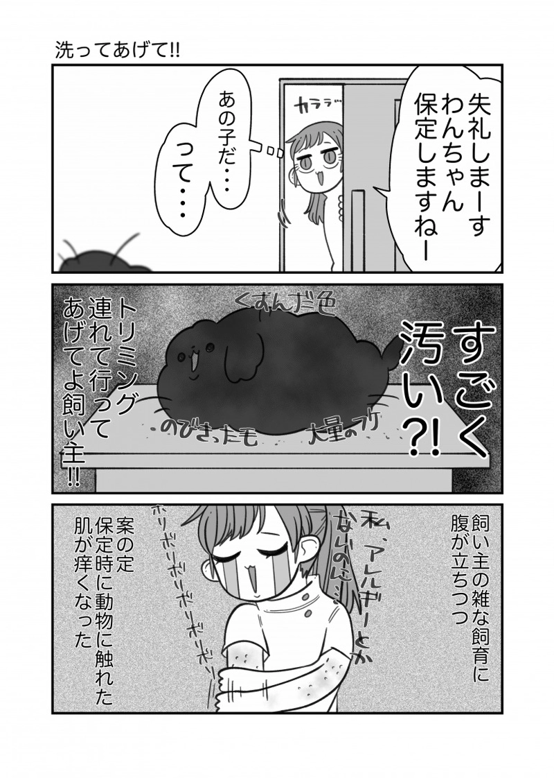 動物看護師の苦悩