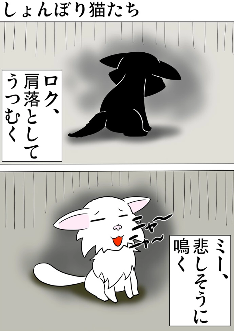 ミーのおもちゃ箱 第1336話～第1341話