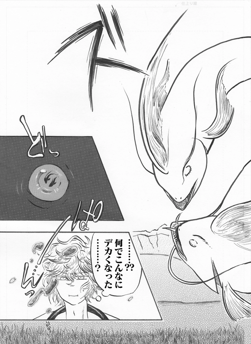 山椒魚《はじかみ》