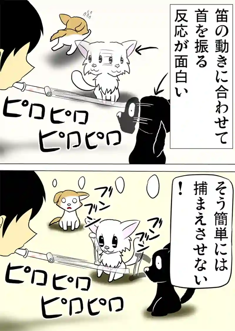 ミーのおもちゃ箱 第1077話～第1082話