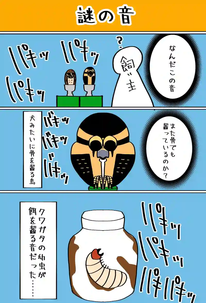 謎の音