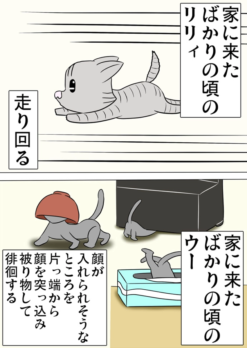 ミーのおもちゃ箱 第1359話～第1364話