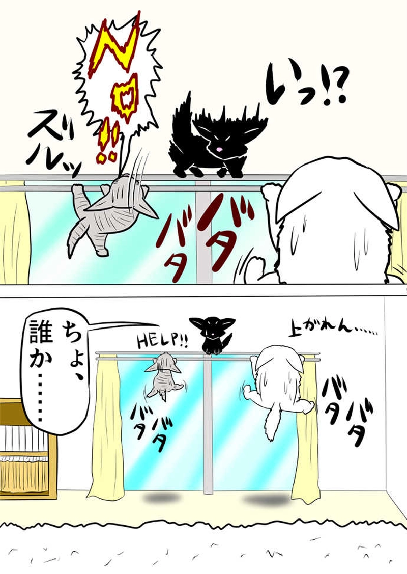 ミーのおもちゃ箱４７６話