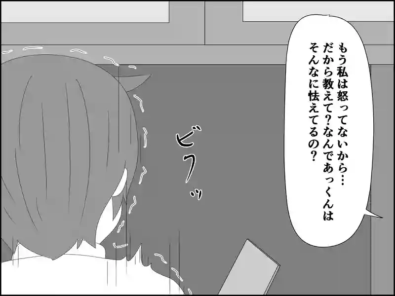 １１９話：お供します