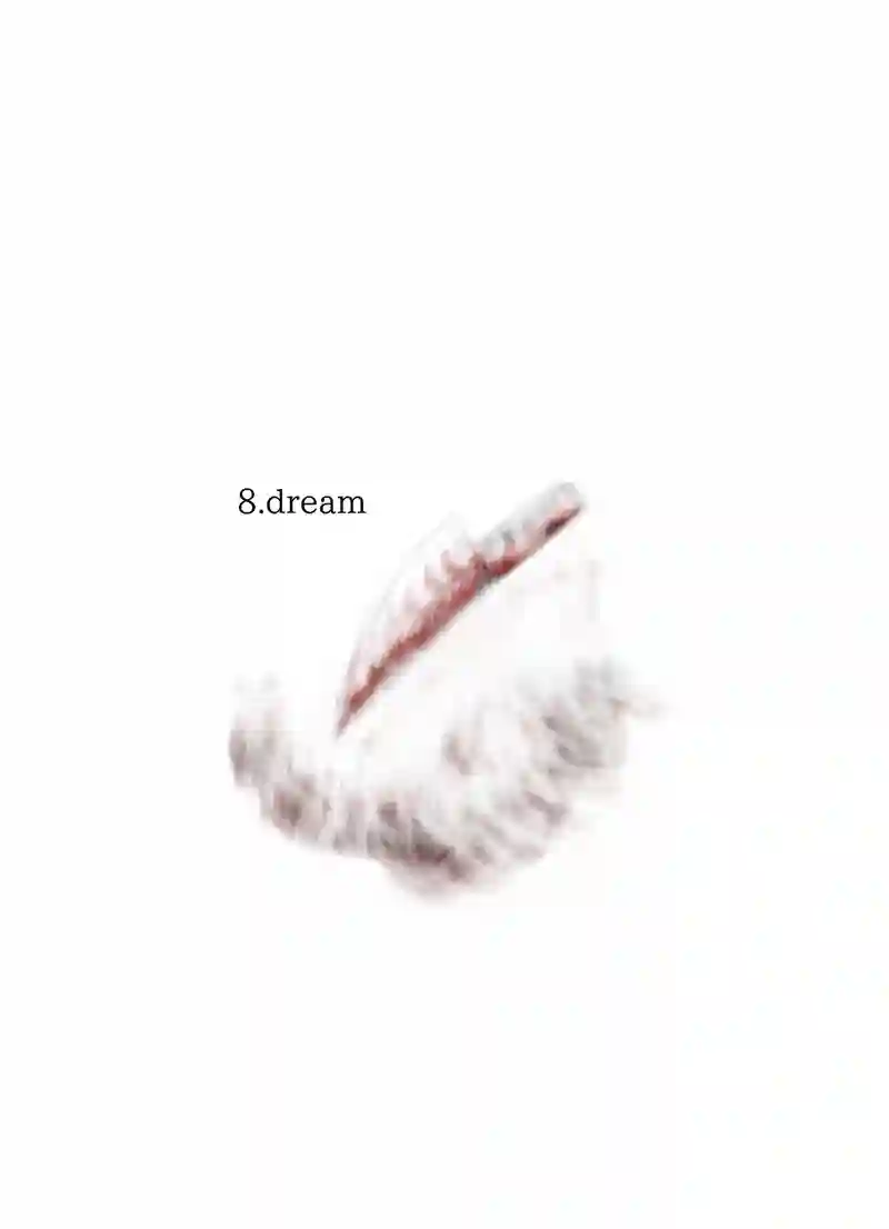 8.dream