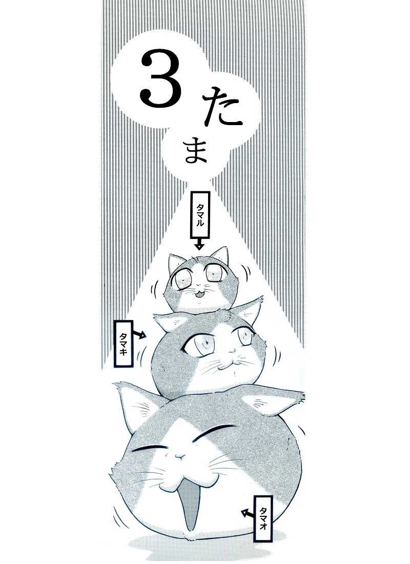 ３たま