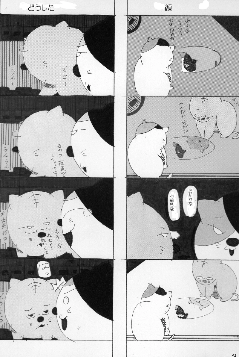 ネコたちの日常