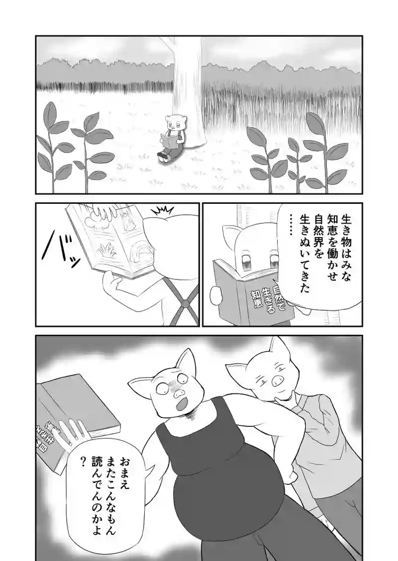 三匹目の子ブタの家にはなぜ窓がない
