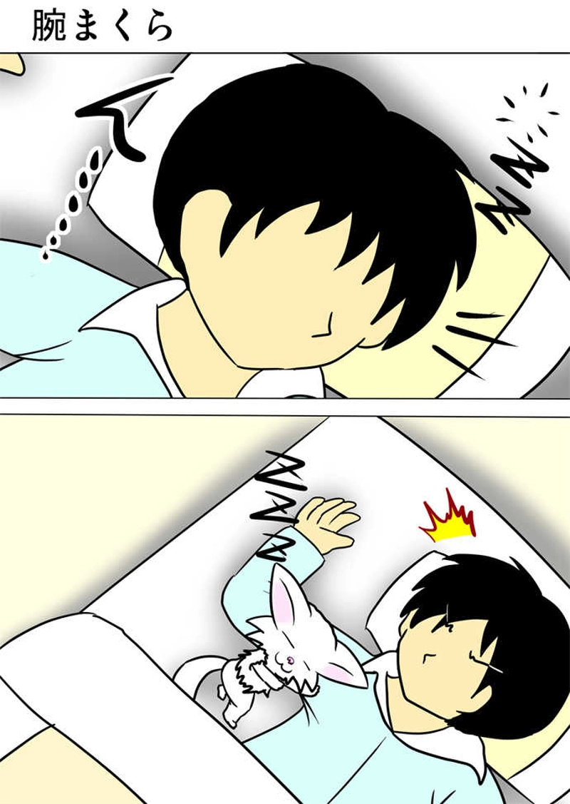 ミーのおもちゃ箱３００話