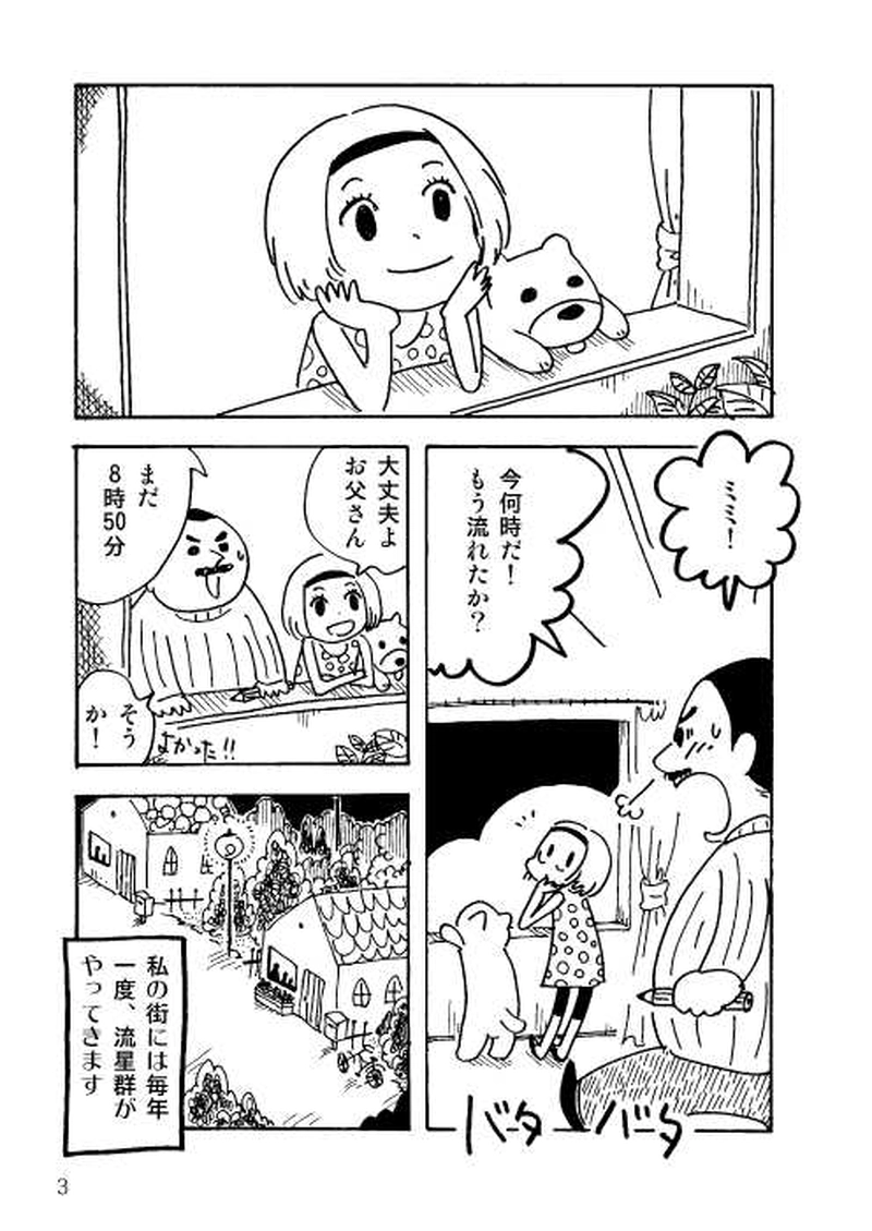 流れ星のメーイ