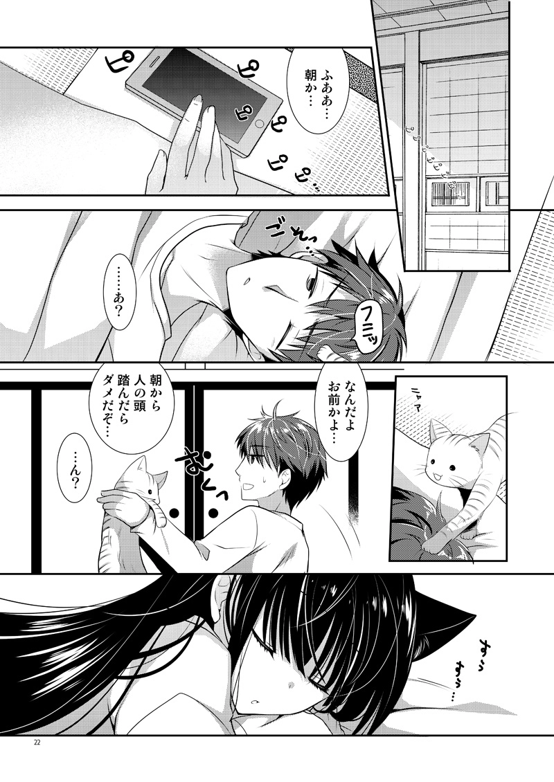 第1話・樟の樹と猫の棲む家。