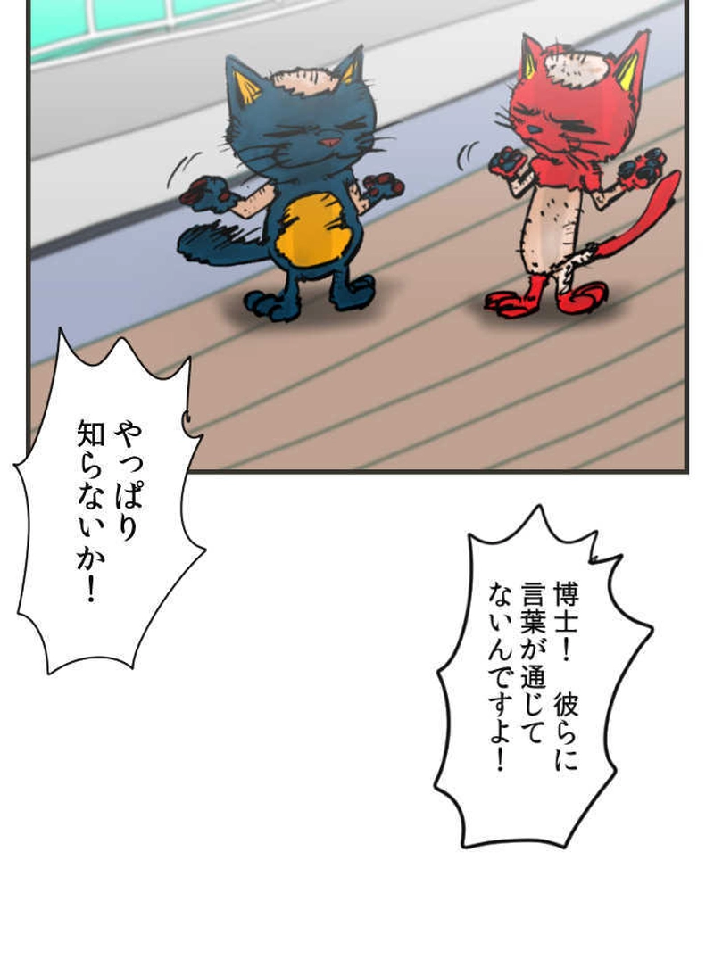 第十五話　Dr.MARTIN(1/3)