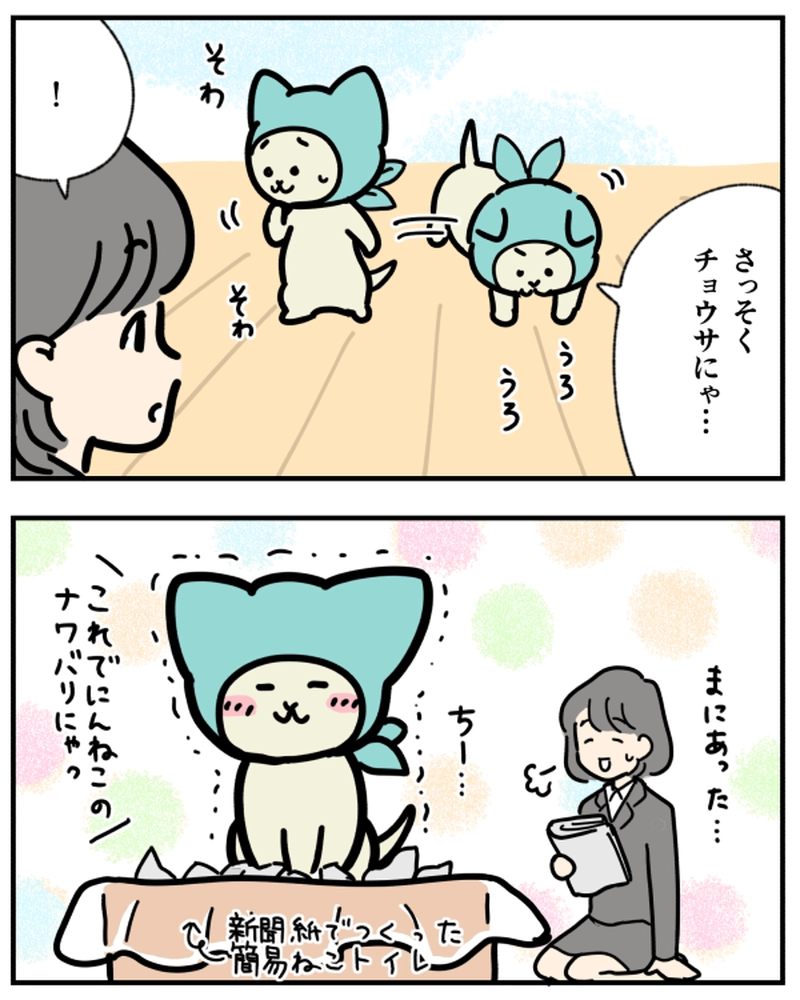 にんねこ登場！/センニュウセイコウにゃ！