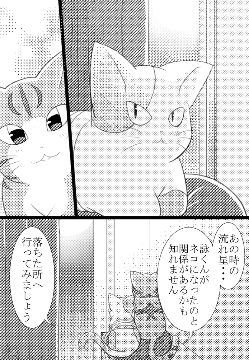 2匹目「キャッツナイト」