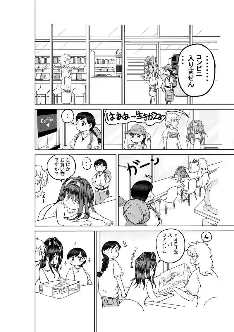 軍用機識別