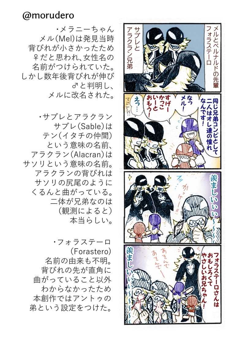 メルとベルナルドの群れ