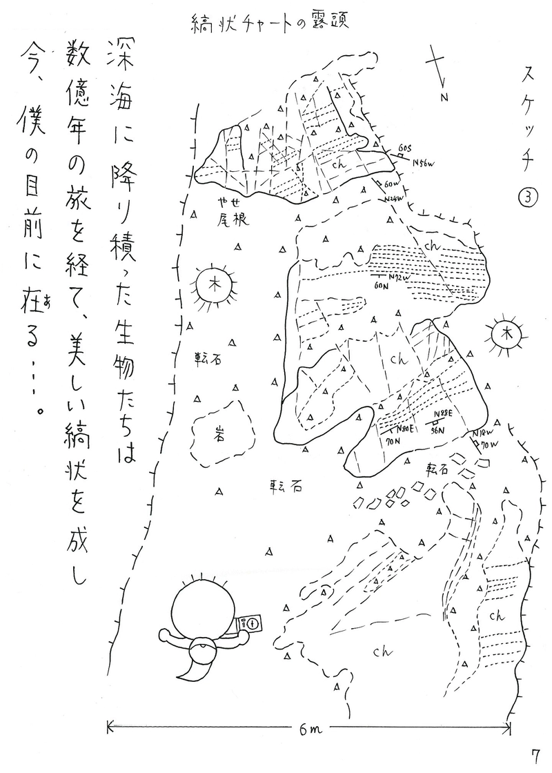 古生層　チャート