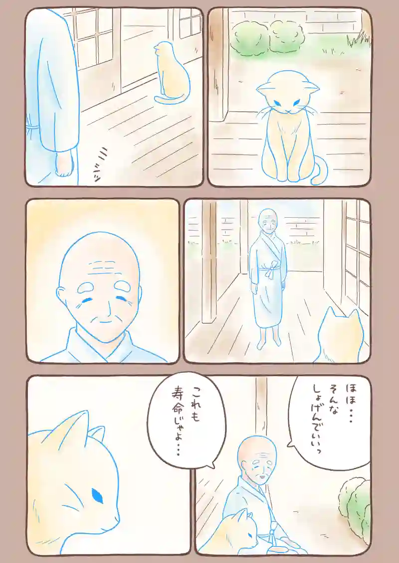 すきま猫とくまちゃん《6》