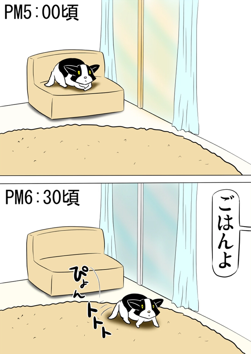 ミーのおもちゃ箱 第1270話～第1275話