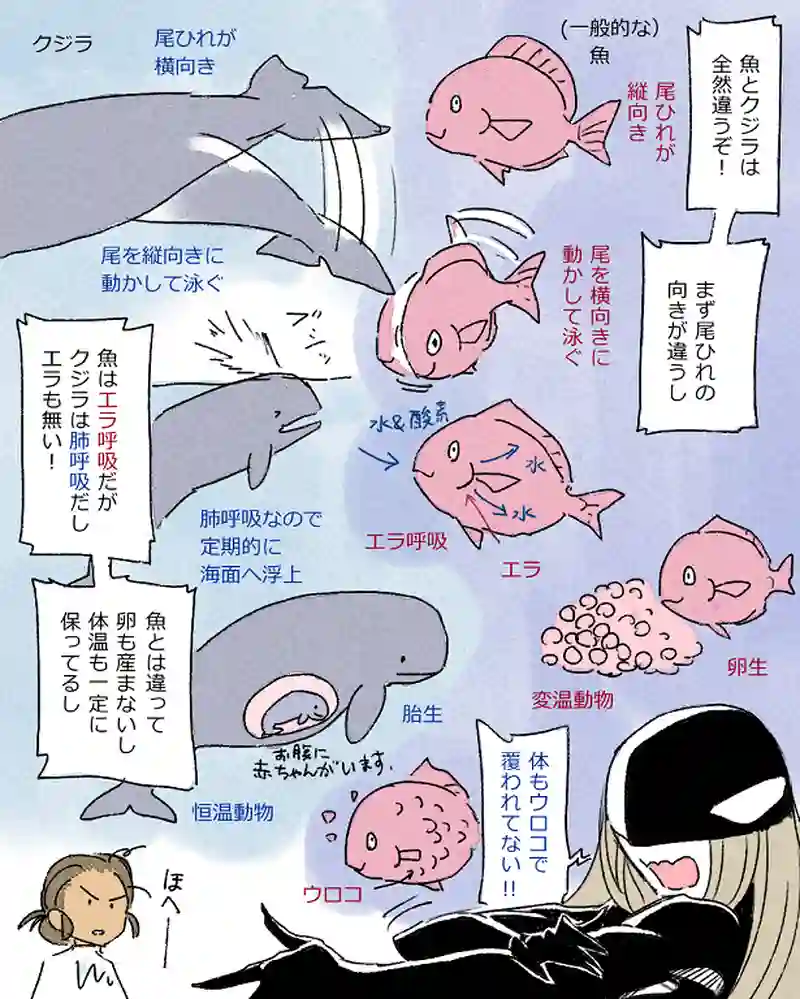 モルトバール６