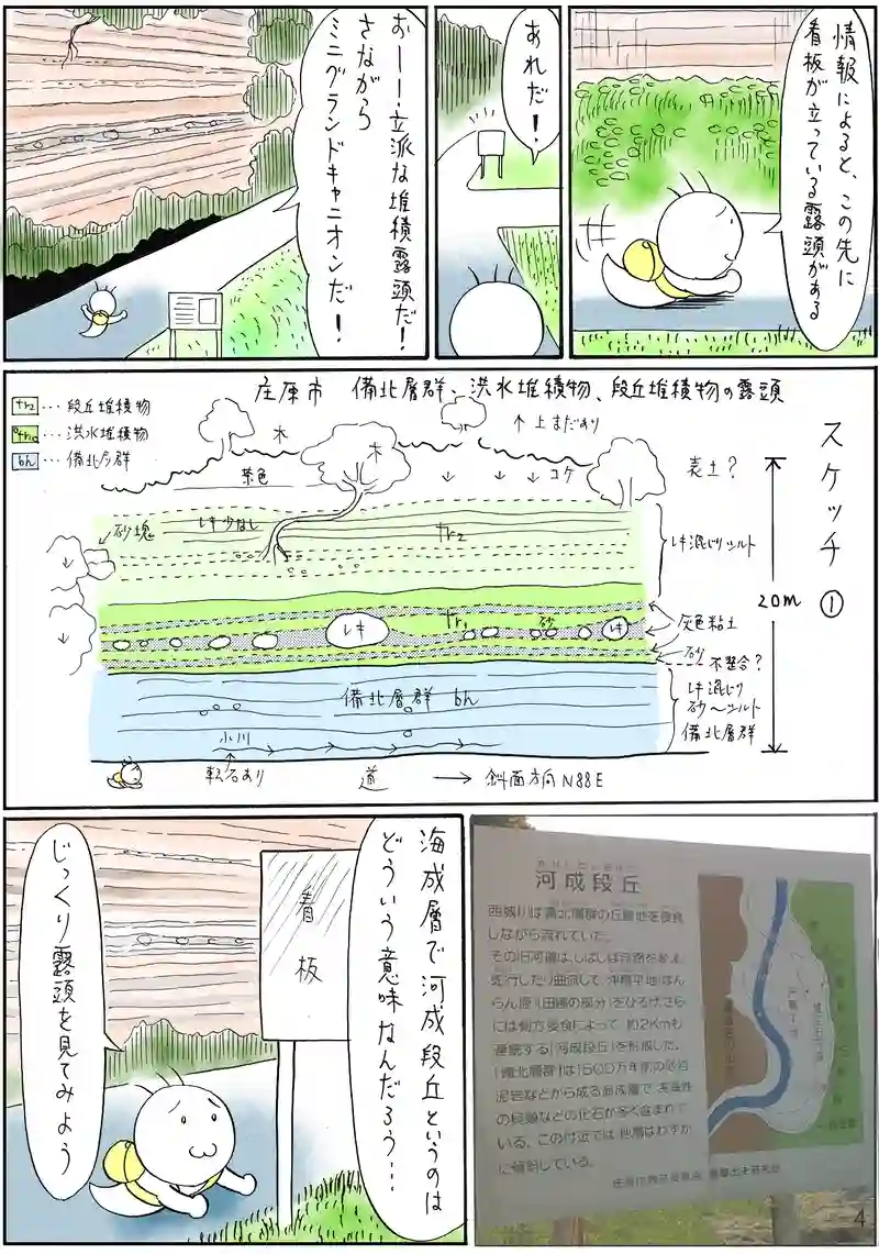 新生代　第三紀