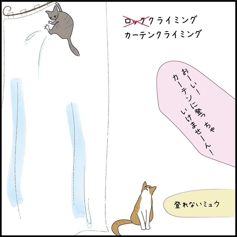 クロニクル1 プロ編　ロッククライミングのプロ