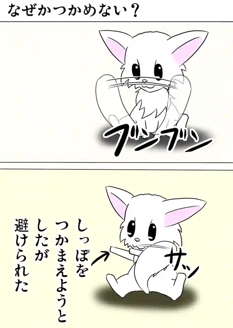 ミーのおもちゃ箱 第1005話～第1010話