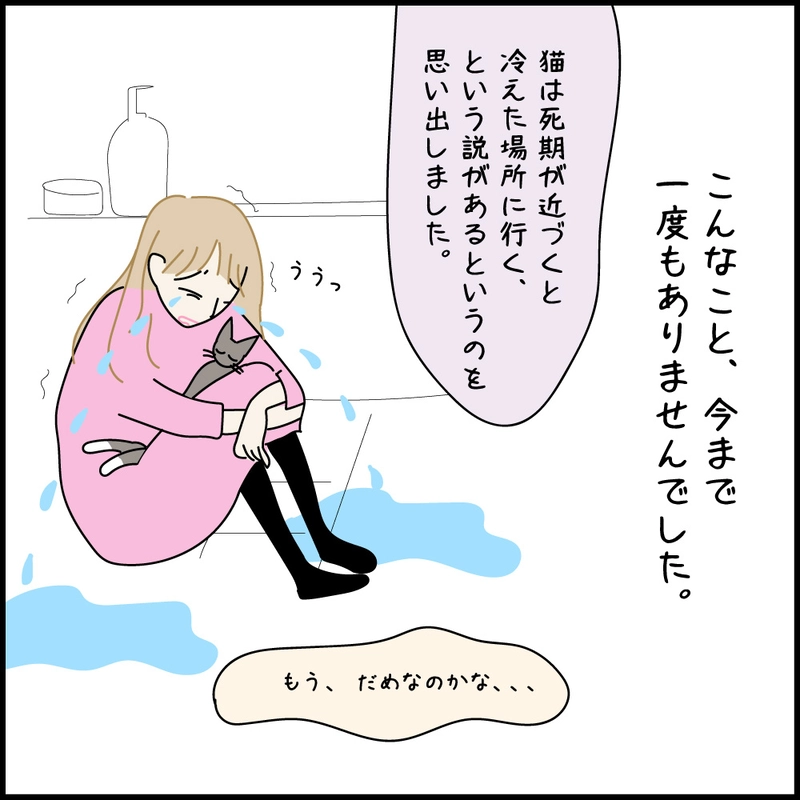 第12話 17才老猫　ニューヨーク闘病日記