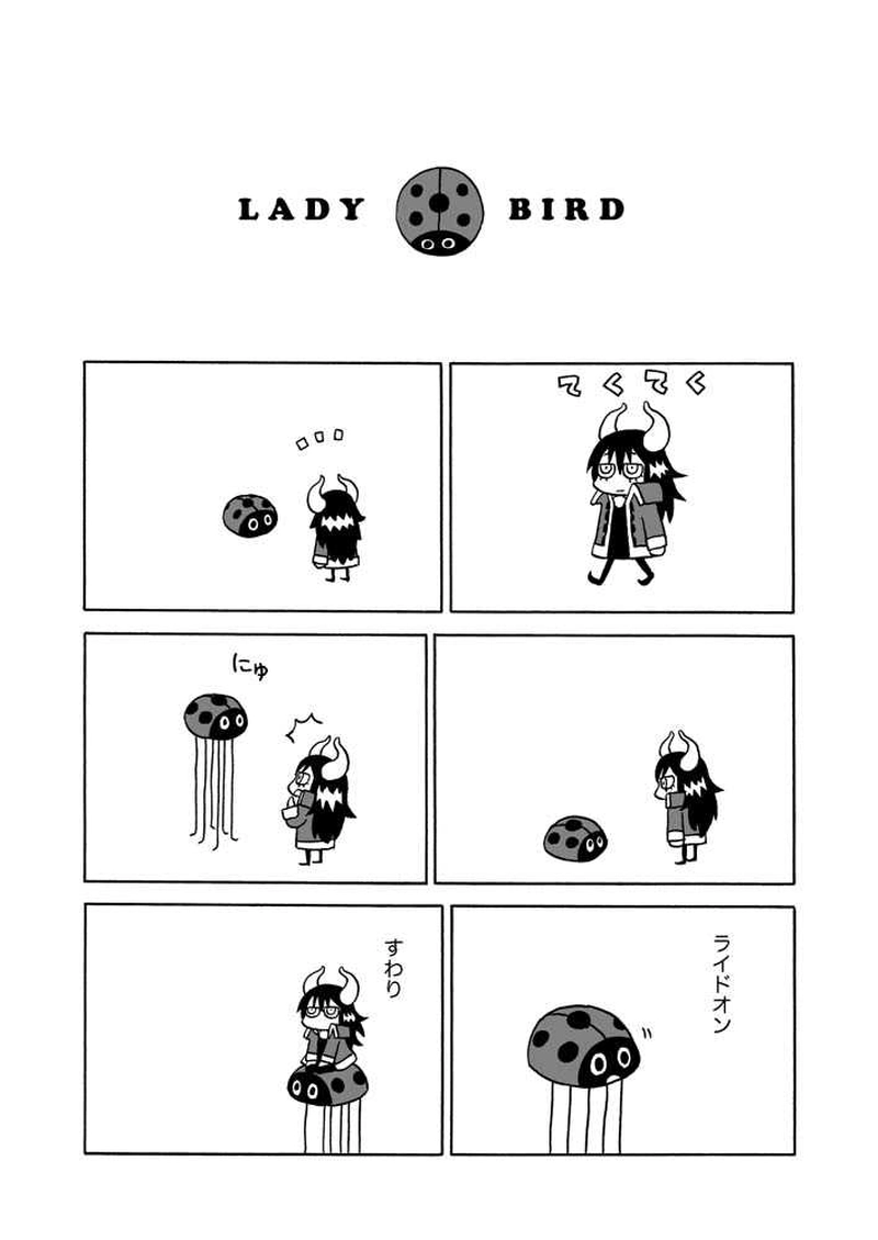 ep8 LADYBIRD