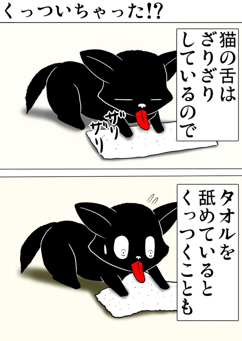 ミーのおもちゃ箱 第1264話～第1269話